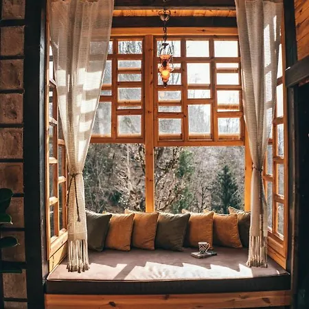 Hotel Dudi Rize
