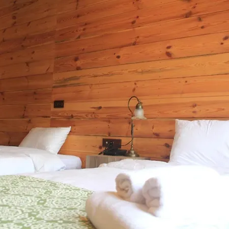 Dudi Hotel Rize