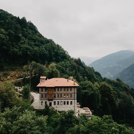 Dudi Rize